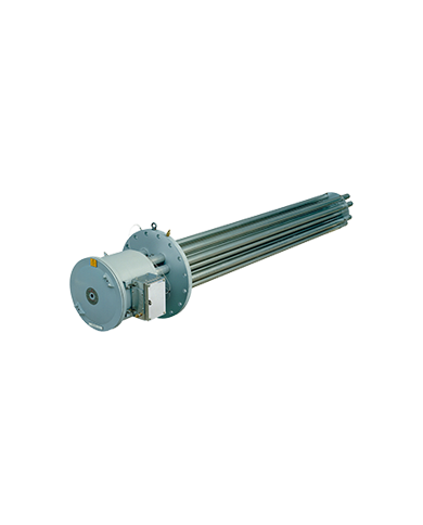 FP / BFP ATEX removable core heater